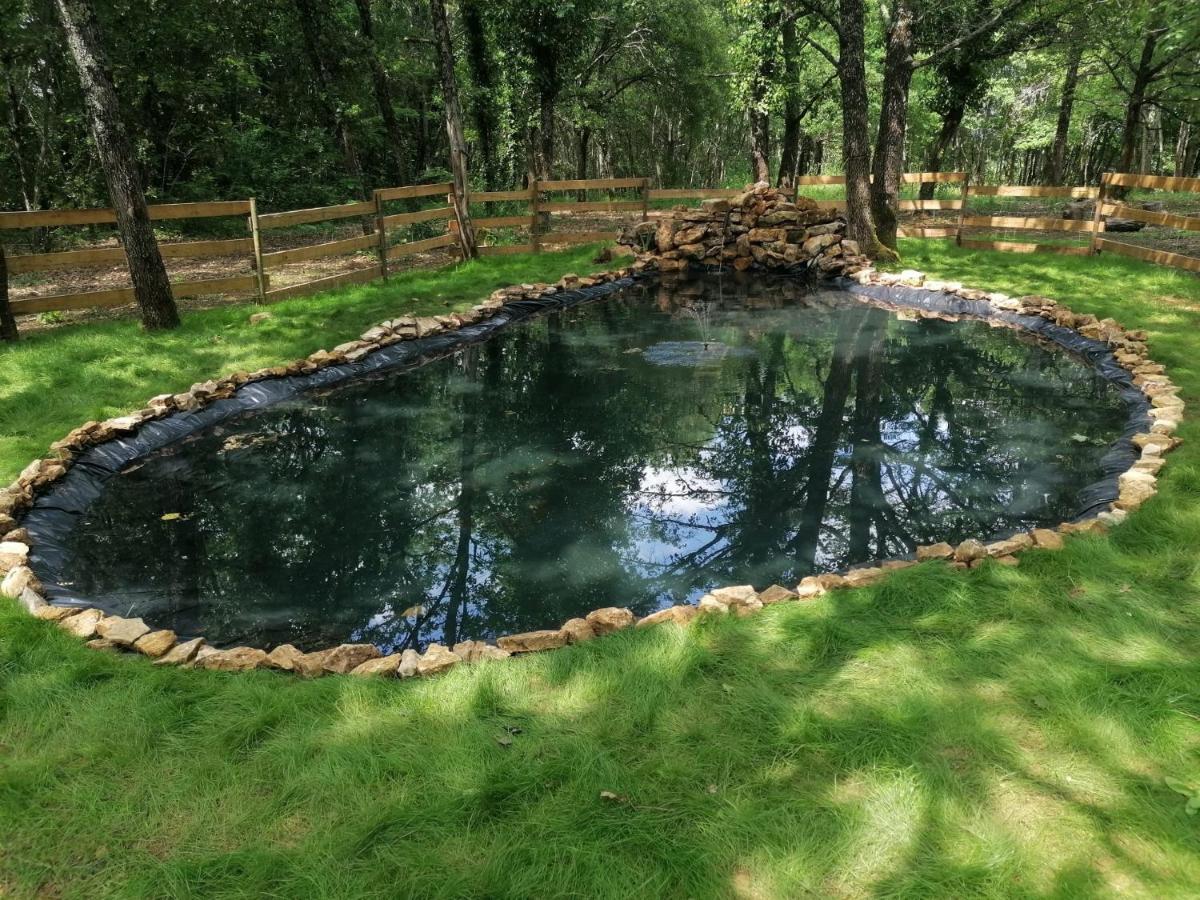 7-Gite-7 Personnes Au Coeur De La Nature /Piscine Saint-Aubin-de-Nabirat Exterior foto